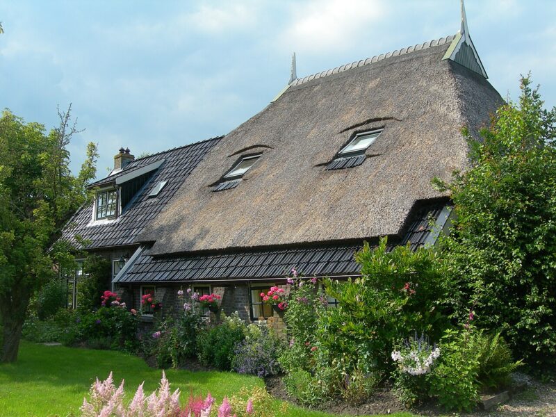 De Trieme in Nederland