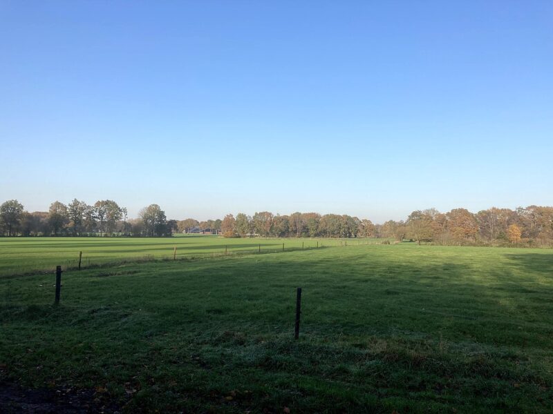 Schoonloo in Nederland