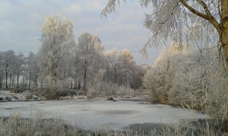 Schuinesloot in Nederland