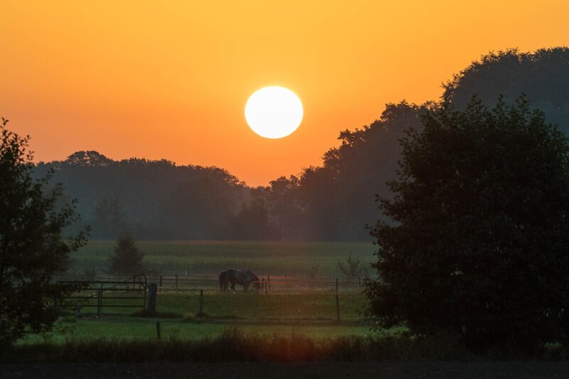 Sinderen in Nederland