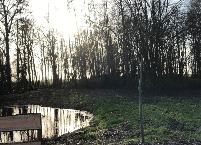 Sirjansland in Nederland