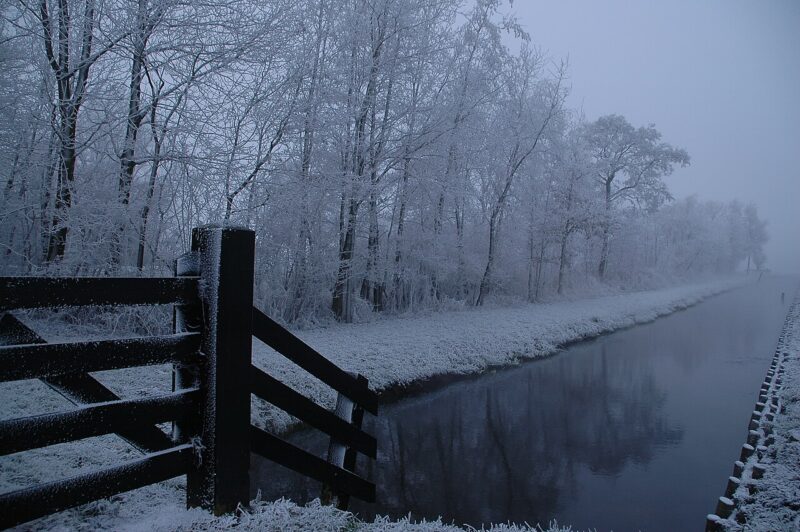 Snikzwaag in Nederland