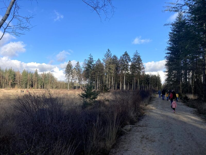 Spier in Nederland