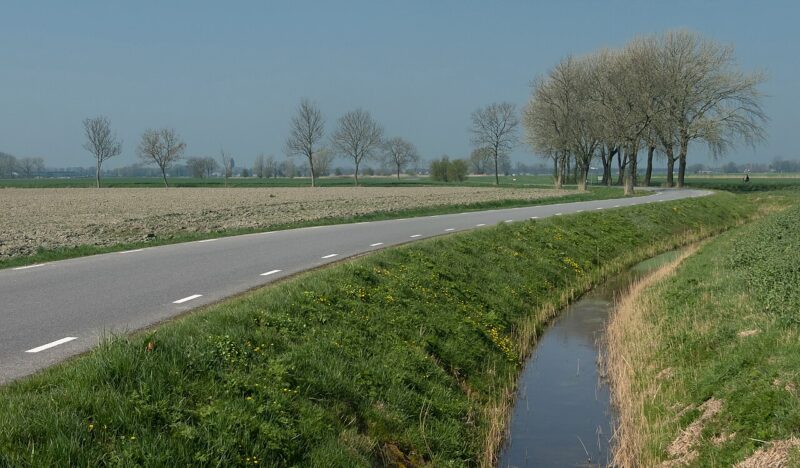 Stedum in Nederland