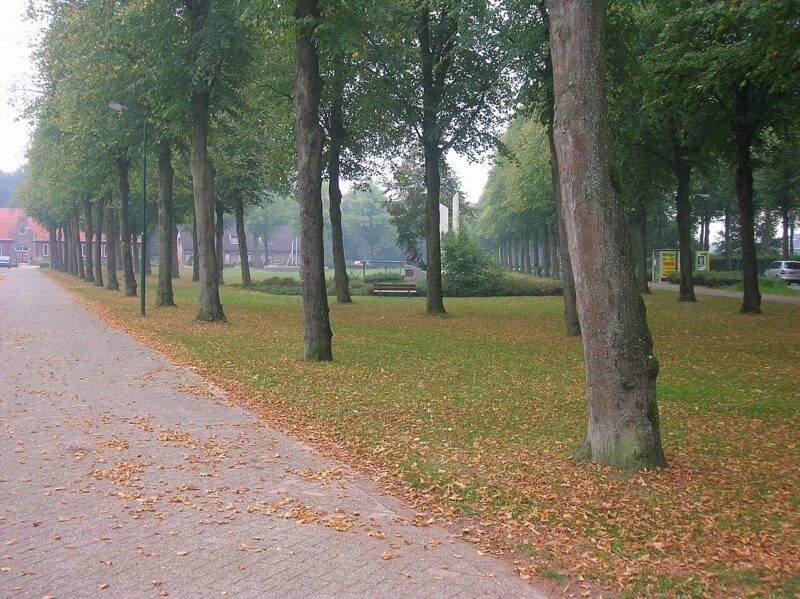 Stevensbeek in Nederland