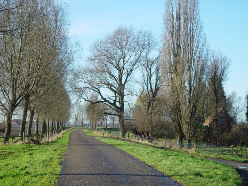 Strijen in Nederland