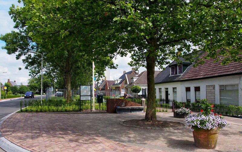 Stroobos in Nederland