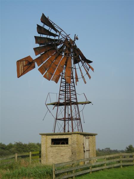 Teroele in Nederland
