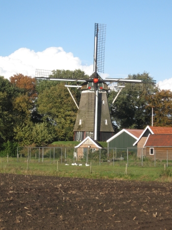 Tilligte in Nederland