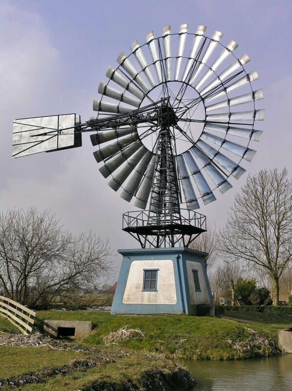Tirns in Nederland