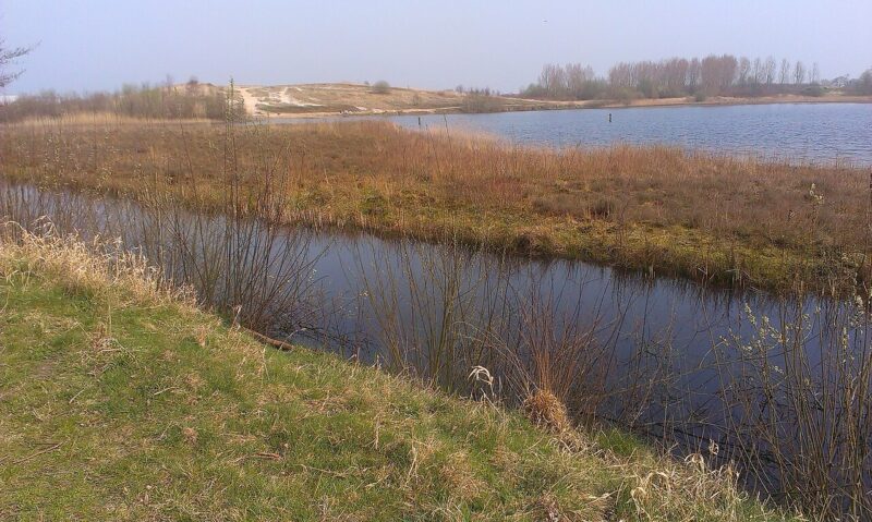 Tripscompagnie in Nederland