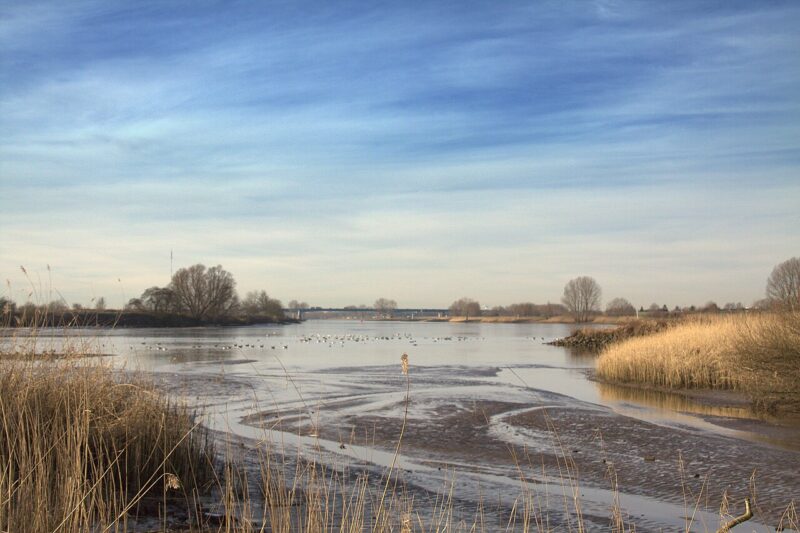 Tull en 't Waal in Nederland