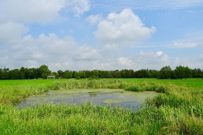 Twijzel in Nederland