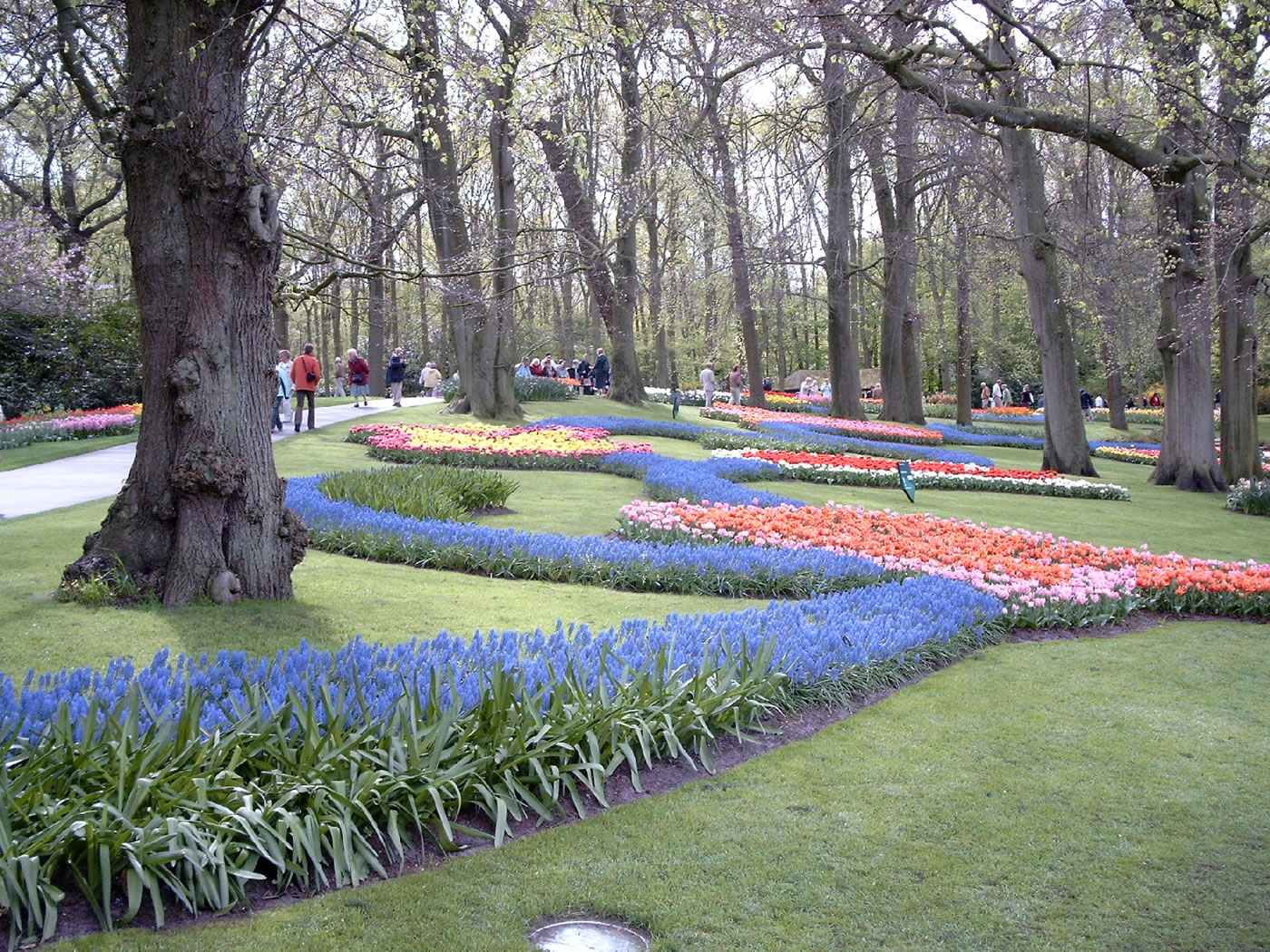 Keukenhof